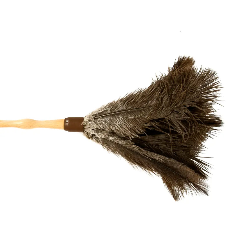 Bürsten & Staubwedel.