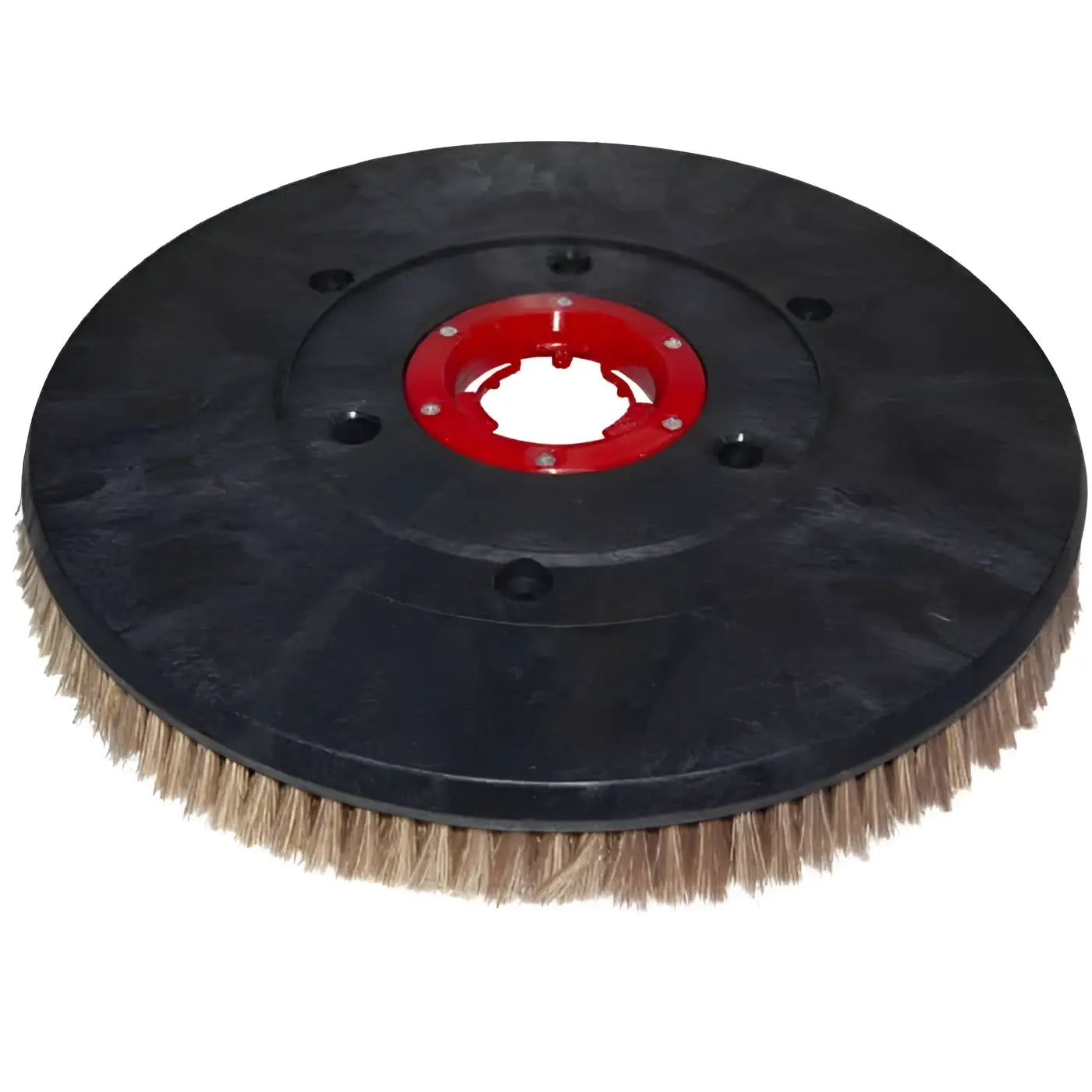 Schwarze polierbürste 5k mit rotem zentrum und hellen pes borsten für gansow 40 b 53 bodenmaschinen