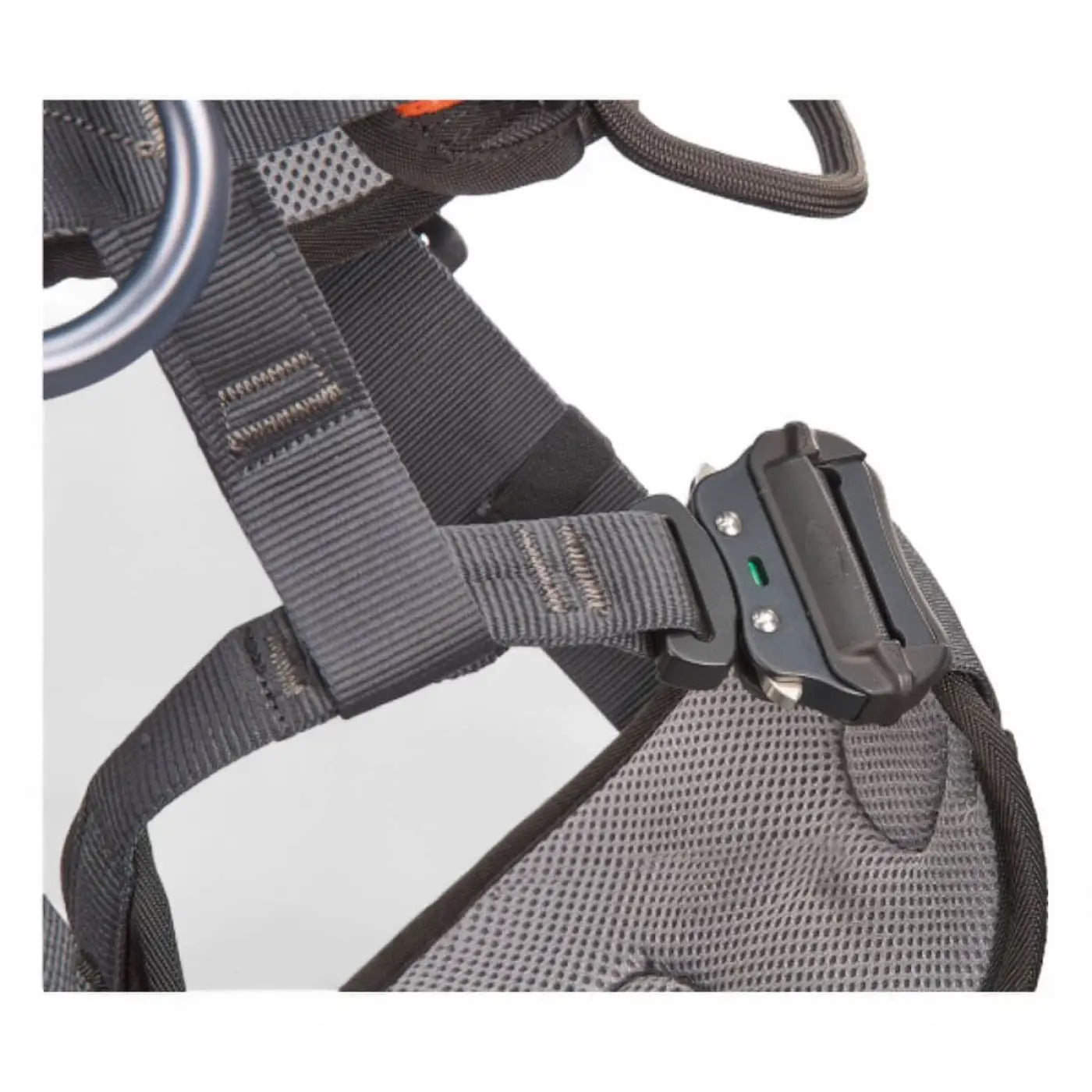 Schwarz plastikschnalle mit silbernen schrauben sichert graue gurtbänder am skyloTec gryphon sitzgurt